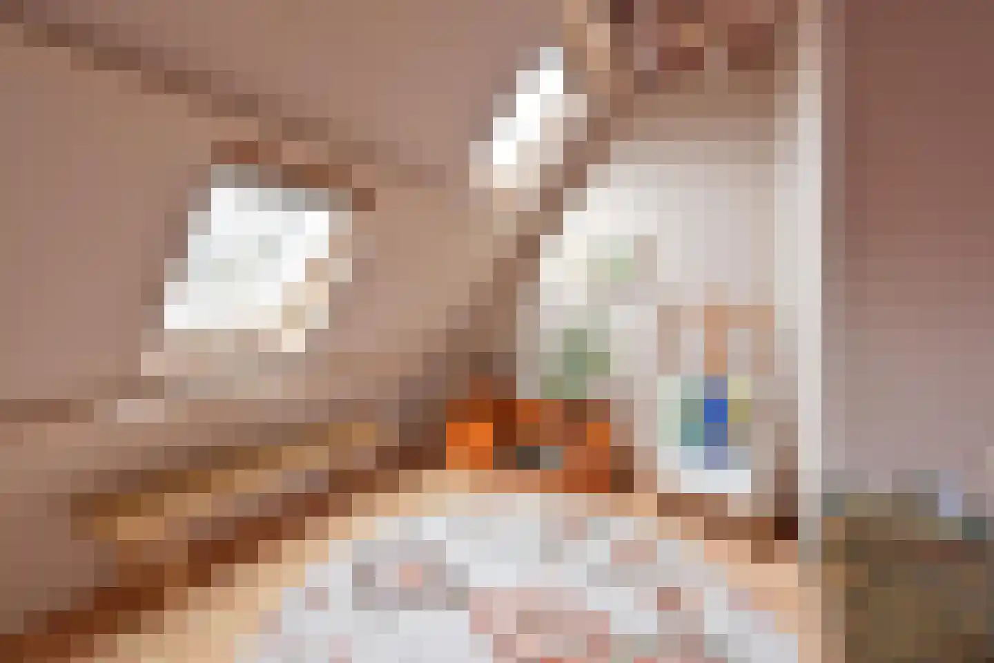 Van de Sande Bakhuyzenstraat 64 Hilversum thumbnail 13