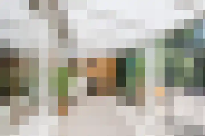 van de Spiegelhof 14 Rijen thumbnail 14