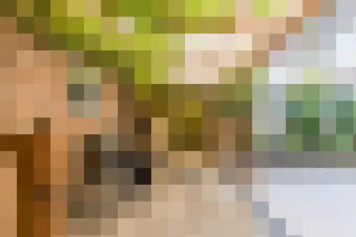 van de Spiegelhof 14 Rijen thumbnail 16