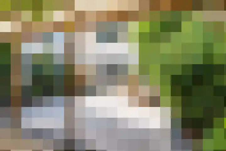 van de Spiegelhof 14 Rijen thumbnail 17