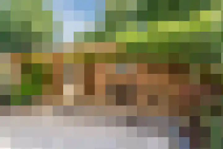 van de Spiegelhof 14 Rijen thumbnail 4