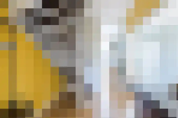 van de Spiegelhof 14 Rijen thumbnail 6