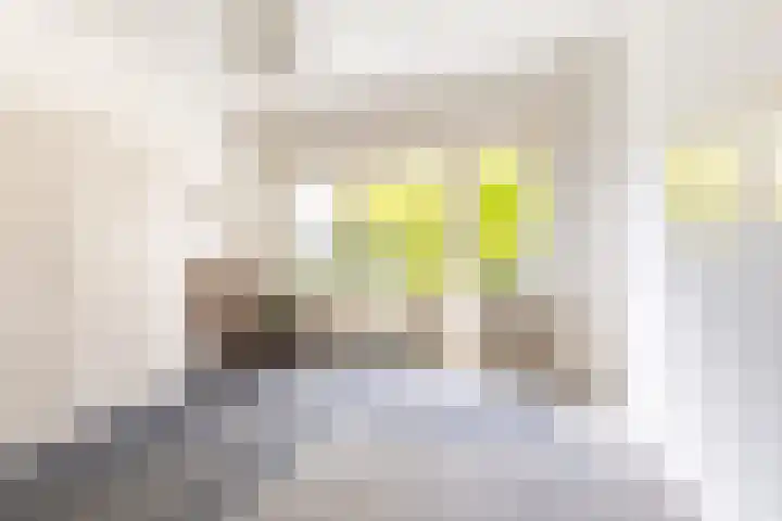 Van de Spiegellaan 25 Heemstede thumbnail 15