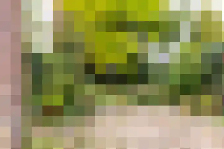 Van de Spiegellaan 25 Heemstede thumbnail 22