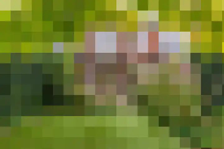 Van de Spiegellaan 25 Heemstede thumbnail 23