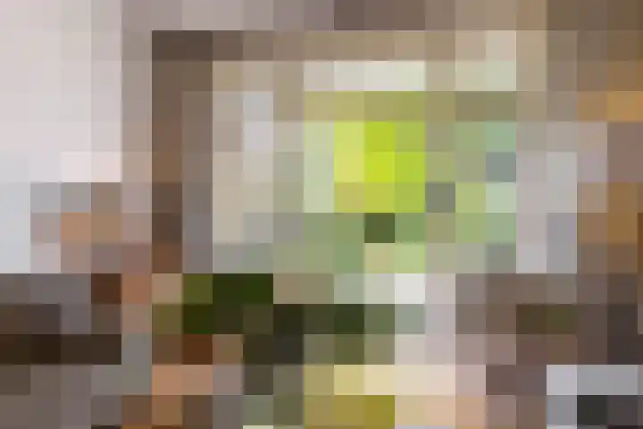 Van de Spiegellaan 25 Heemstede thumbnail 6