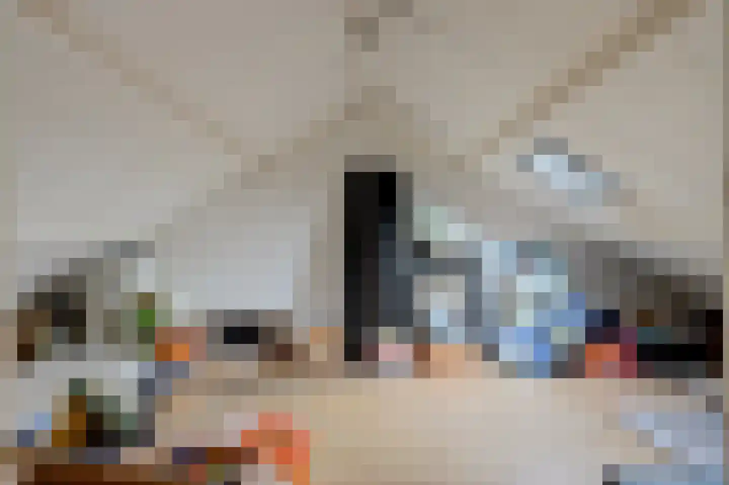 van de Spiegelstraat 19 Zwijndrecht thumbnail 30