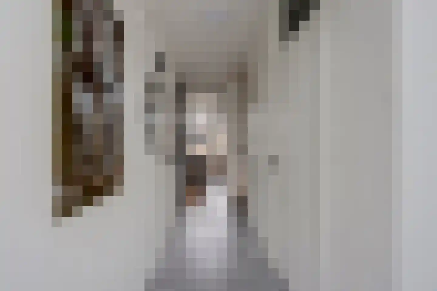 van de Spiegelstraat 19 Zwijndrecht thumbnail 6