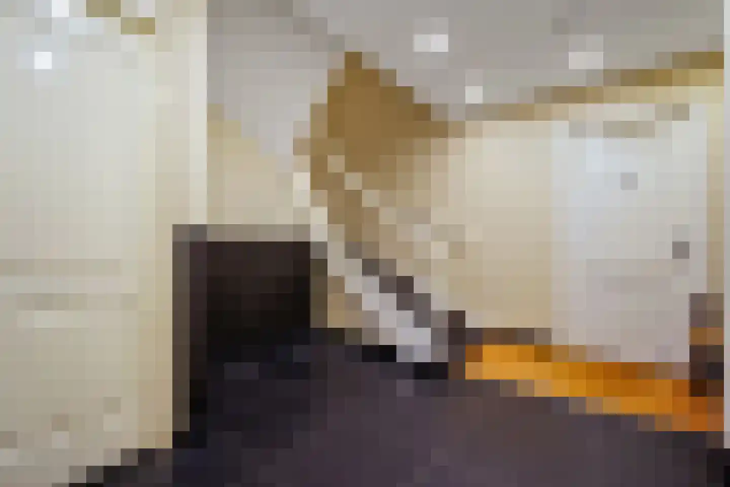 Van de Spiegelstraat 3 B Den Haag thumbnail 8