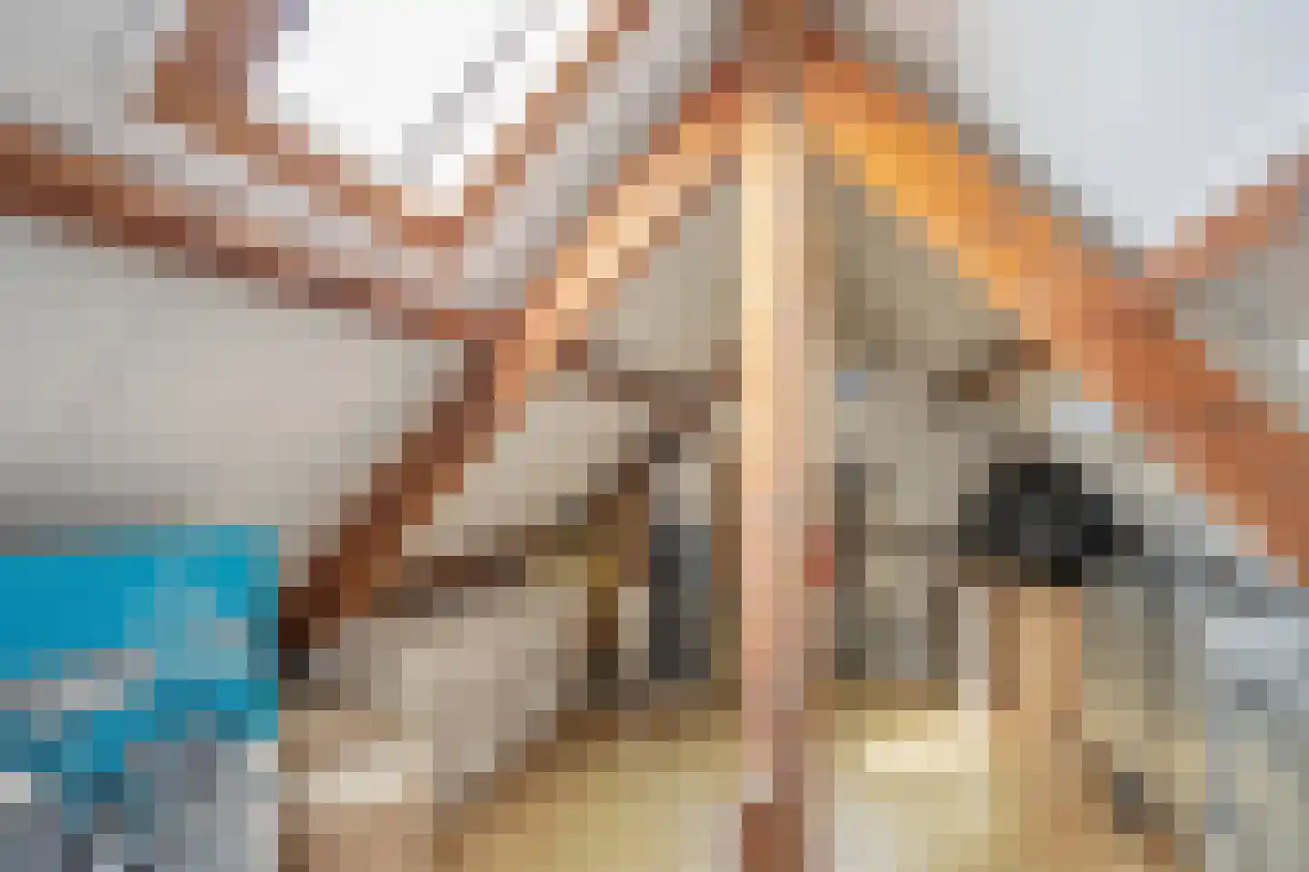 Van de Spiegelstraat 39 Delft thumbnail 33