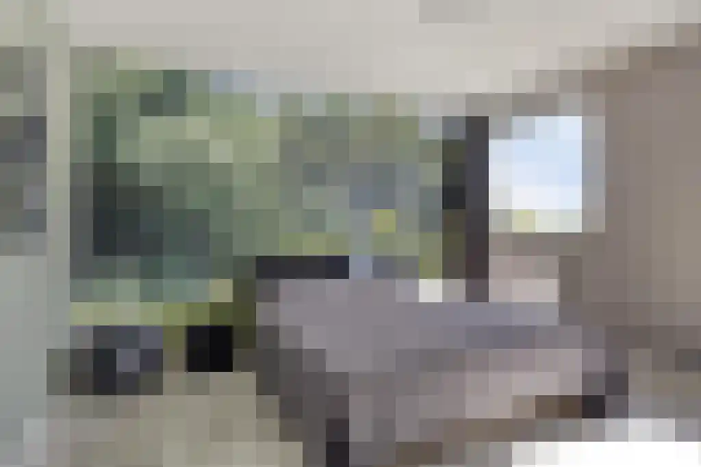 Van de Spiegelstraat 42 Bergen op Zoom thumbnail 12