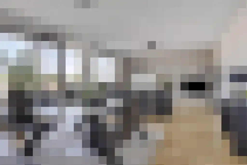 Van de Spiegelstraat 42 Bergen op Zoom thumbnail 5