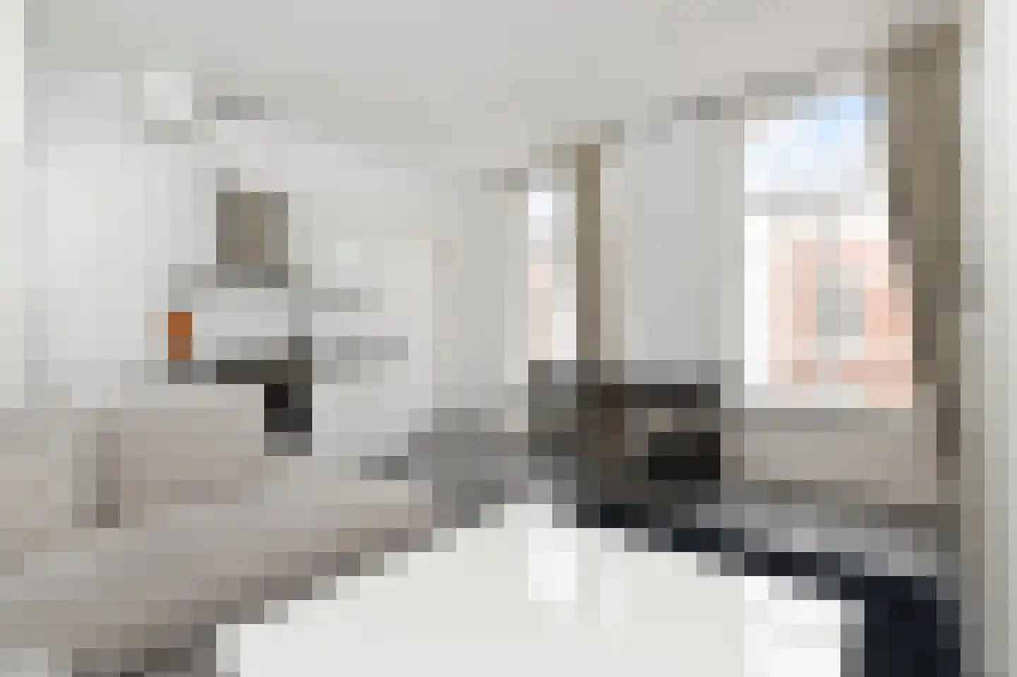 Van de Spiegelstraat 5 D Den Haag thumbnail 7
