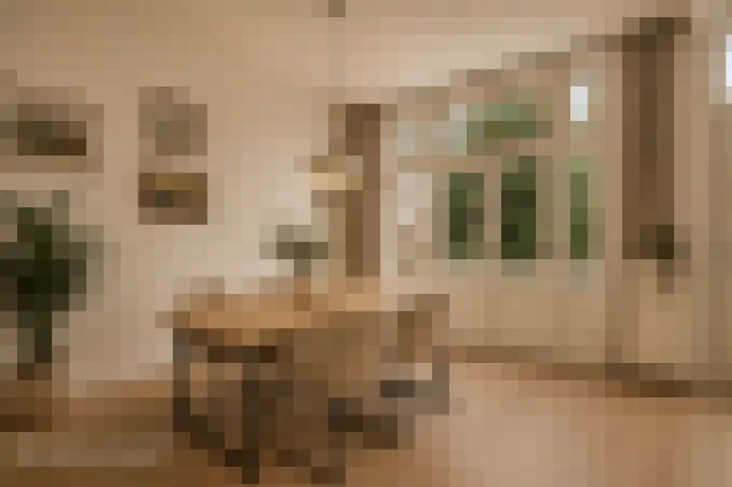 Van de Spiegelstraat 5 Delft thumbnail 21