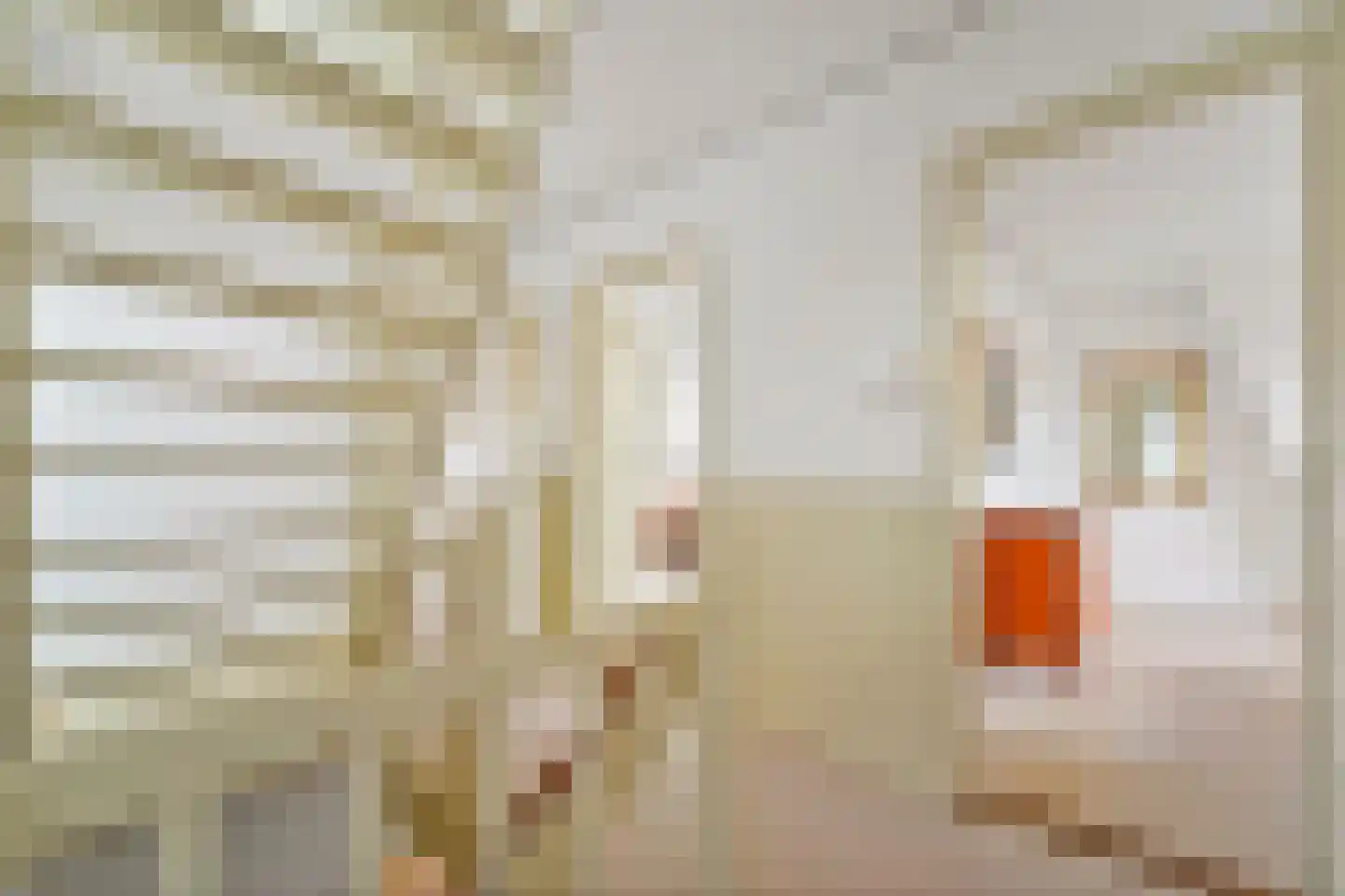 Van de Spiegelstraat 5 Delft thumbnail 33