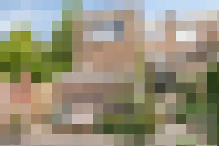 Van de Spieghelstraat 4 Arnhem thumbnail 41
