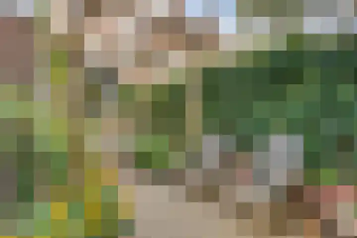 Van de Spieghelstraat 4 Arnhem thumbnail 43