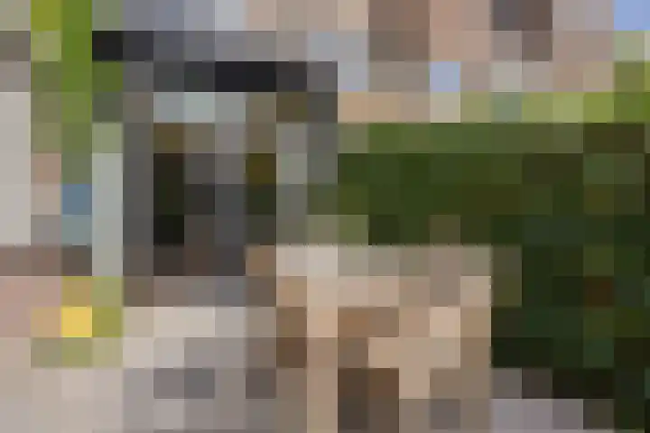 Van de Spieghelstraat 4 Arnhem thumbnail 45