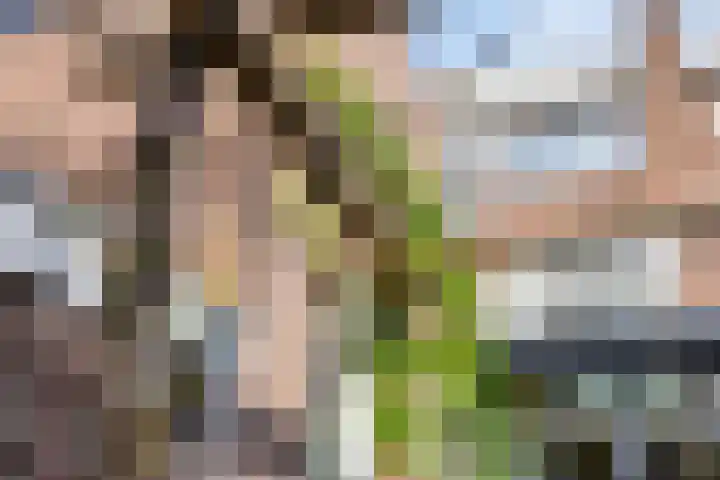 Van de Spieghelstraat 4 Arnhem thumbnail 47