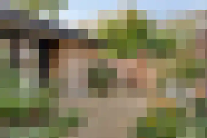 Van de Spieghelstraat 4 Arnhem thumbnail 5