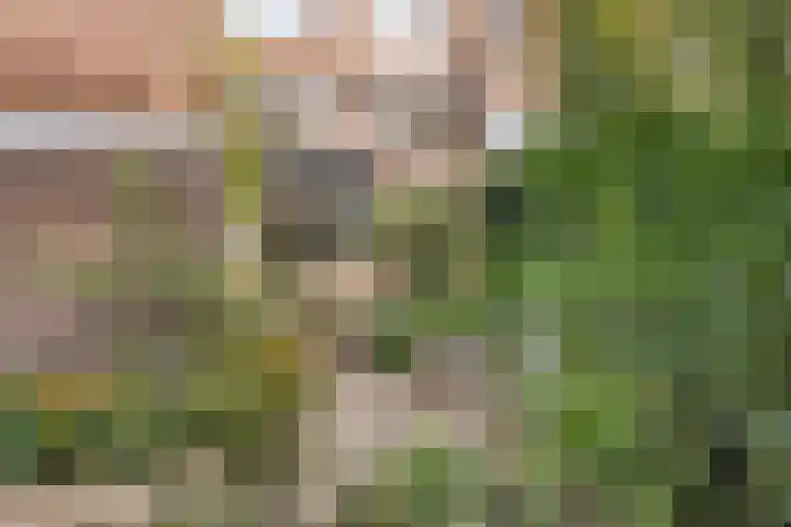 Van de Spieghelstraat 4 Arnhem thumbnail 6