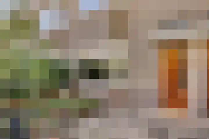 Van de Spieghelstraat 4 Arnhem thumbnail 8