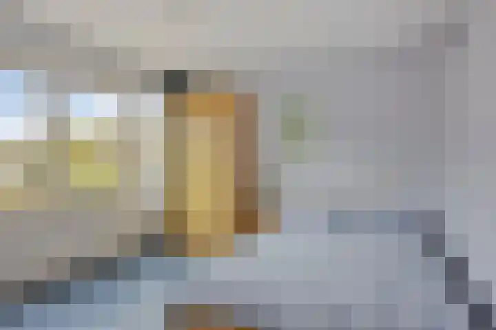 Van de Veldelaan 161 Alkmaar thumbnail 19