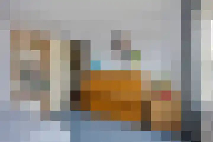 Van de Veldelaan 161 Alkmaar thumbnail 20
