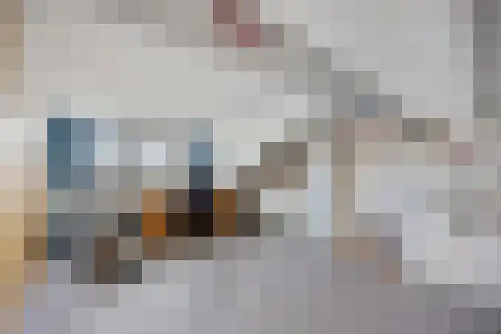 Van de Veldelaan 161 Alkmaar thumbnail 22