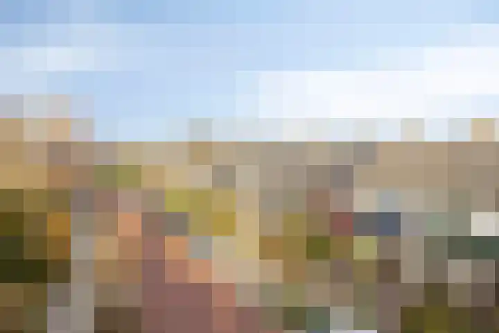 Van de Veldelaan 161 Alkmaar thumbnail 27