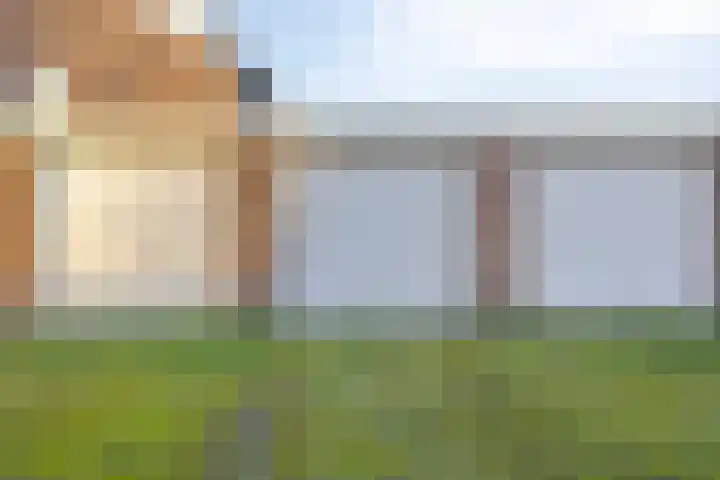 Van de Veldelaan 161 Alkmaar thumbnail 28