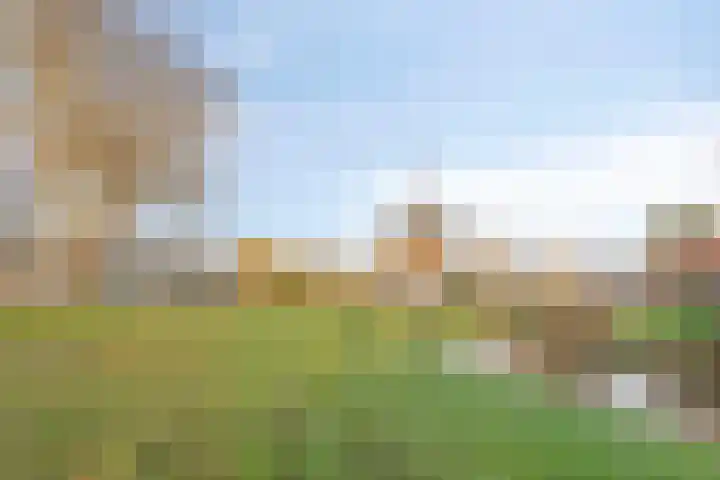 Van de Veldelaan 161 Alkmaar thumbnail 30