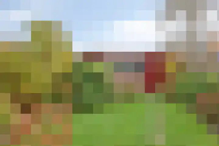 Van de Veldelaan 161 Alkmaar thumbnail 4