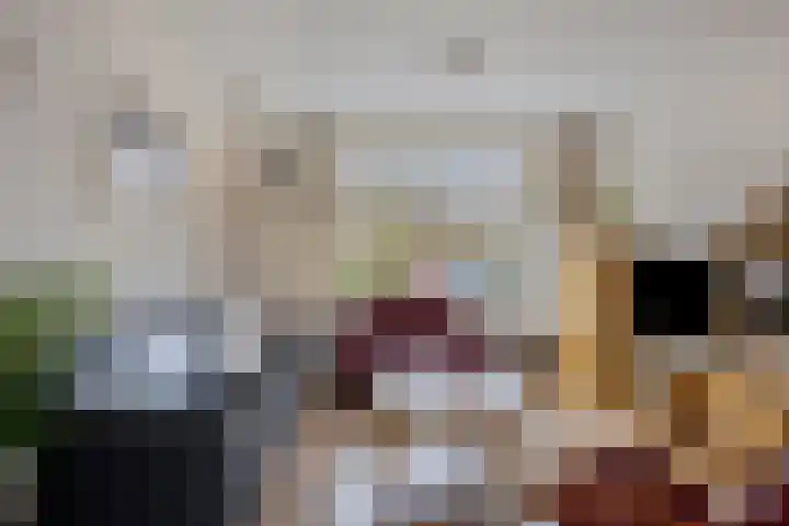 Van de Veldelaan 161 Alkmaar thumbnail 8