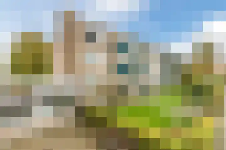 Van de Veldelaan 79 dans Alkmaar