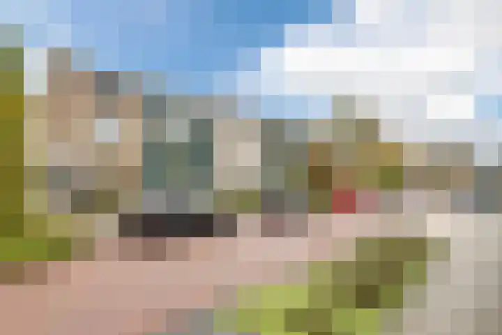 Van de Veldelaan 79 Alkmaar thumbnail 25