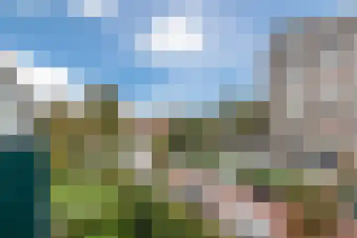 Van de Veldelaan 79 Alkmaar thumbnail 27