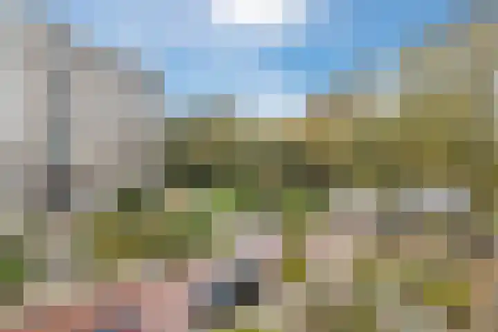 Van de Veldelaan 79 Alkmaar thumbnail 28