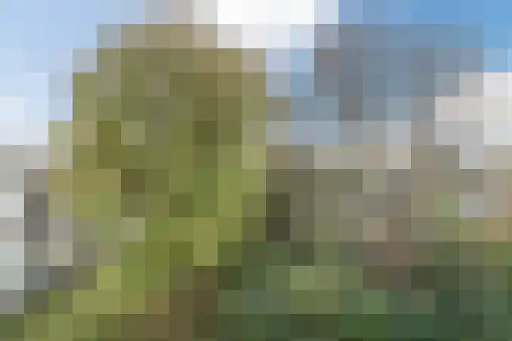 Van de Veldelaan 79 Alkmaar thumbnail 29