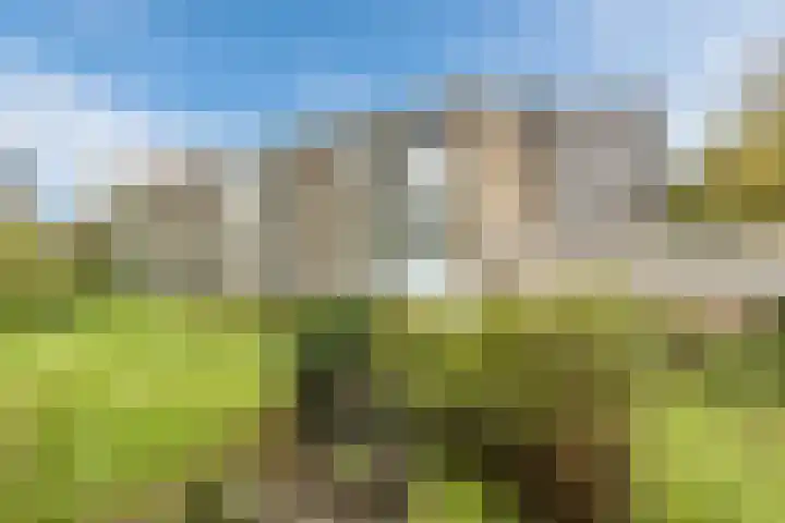 Van de Veldelaan 79 Alkmaar thumbnail 32