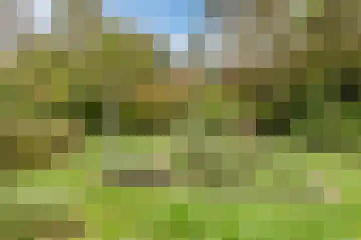 Van de Veldelaan 79 Alkmaar thumbnail 33