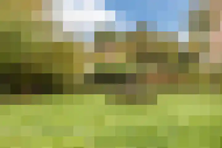 Van de Veldelaan 79 Alkmaar thumbnail 34
