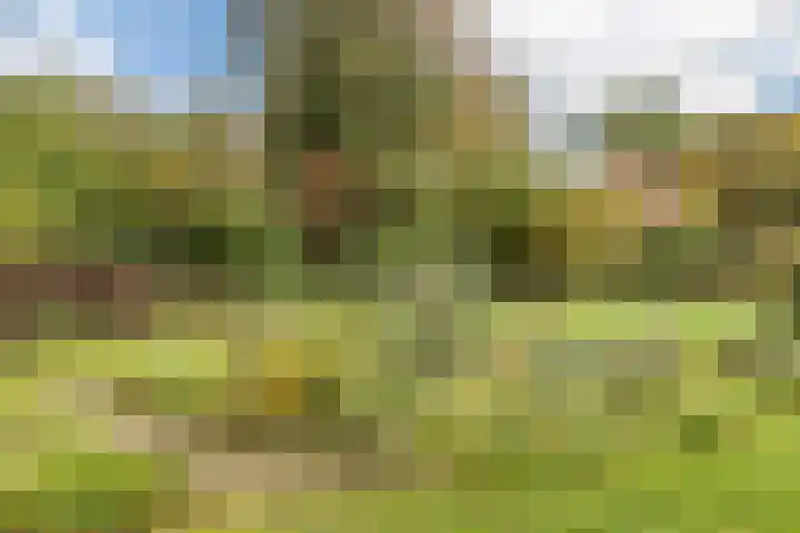 Van de Veldelaan 79 Alkmaar thumbnail 35