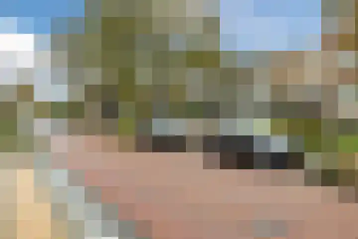 Van de Veldelaan 79 Alkmaar thumbnail 37