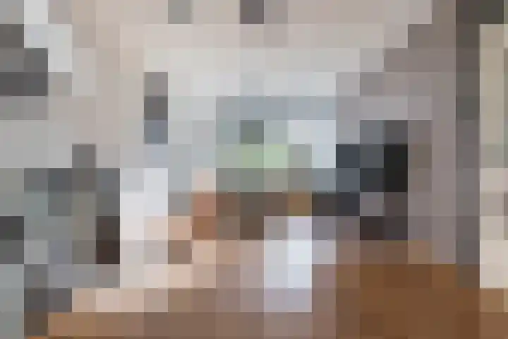 Van de Veldelaan 79 Alkmaar thumbnail 6
