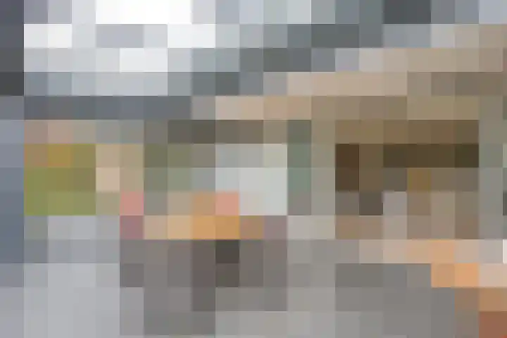 Van de Veldelaan 958 Alkmaar thumbnail 11