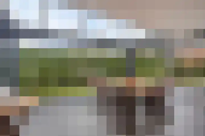 Van de Veldelaan 958 Alkmaar thumbnail 12