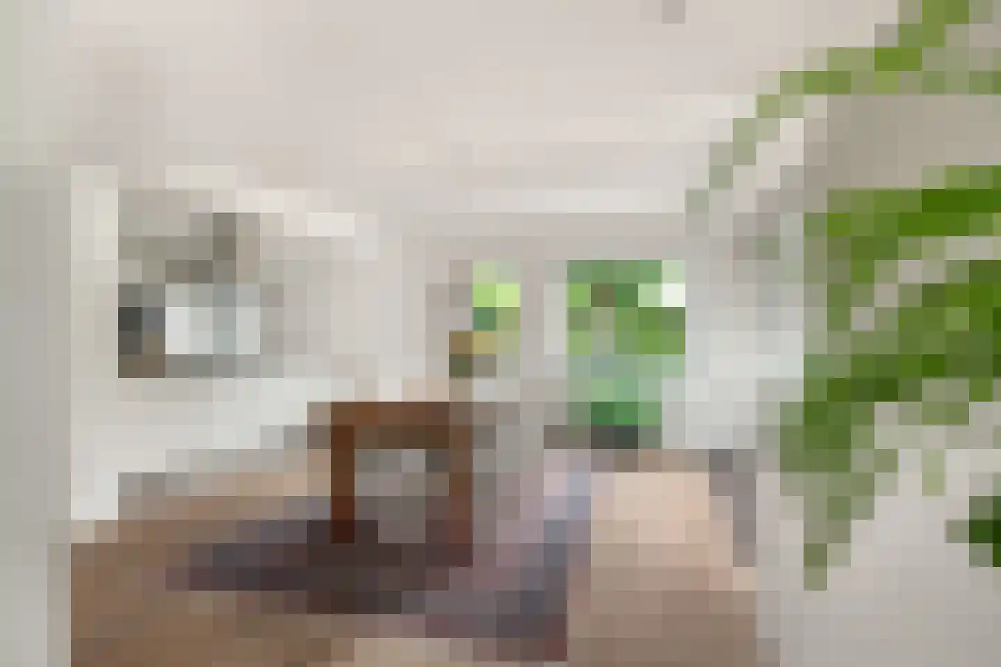 Van de Veldelaan 958 Alkmaar thumbnail 13