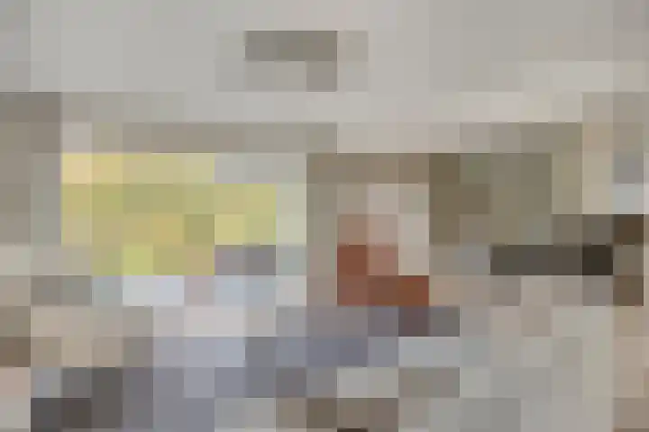 Van de Veldelaan 958 Alkmaar thumbnail 14