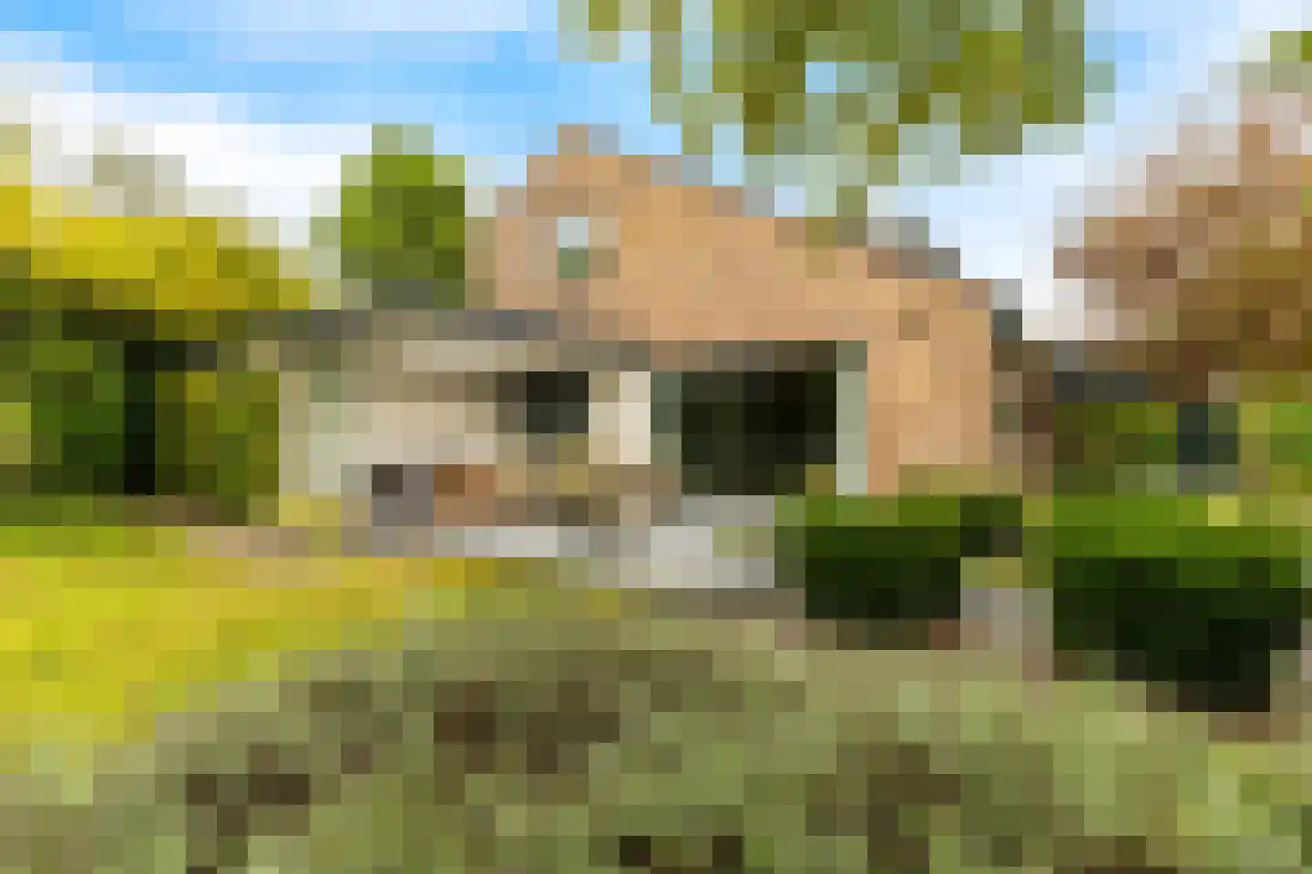 Van de Veldelaan 958 Alkmaar foto 3